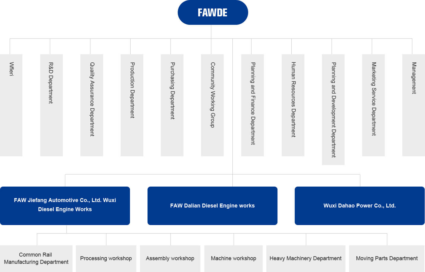 ORGANIZATION ORGANIZATION